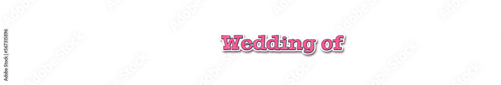Wedding of Sticker typography banner with transparent background