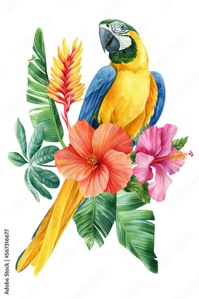 Obraz premium Parrot macaw with flowers and palm leaves, exotic birds on isolated white background. Watercolor hand drawn illustration