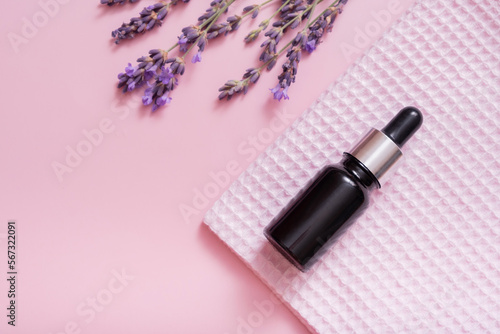 Fototapeta Naklejka Na Ścianę i Meble -  Cosmetic oil in pipette bottle with lavender flowers on colored background. Top view. Flat lay