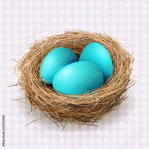 Easter blue eggs in a nest, isolated design element