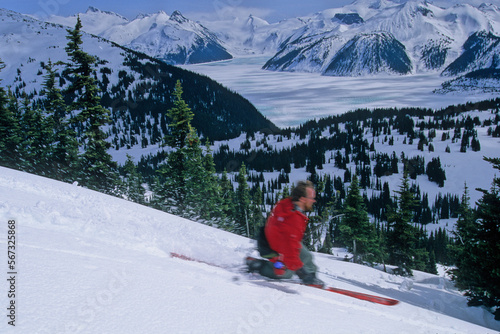 Man telemark skis in backcountry of Girabaldi Provincial Park near Whistler, BC photo