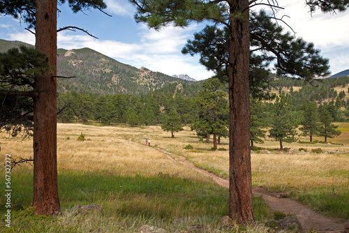 HIkers on trail, Upper Beaver Meadows, Rocky Mountain National Park. photo