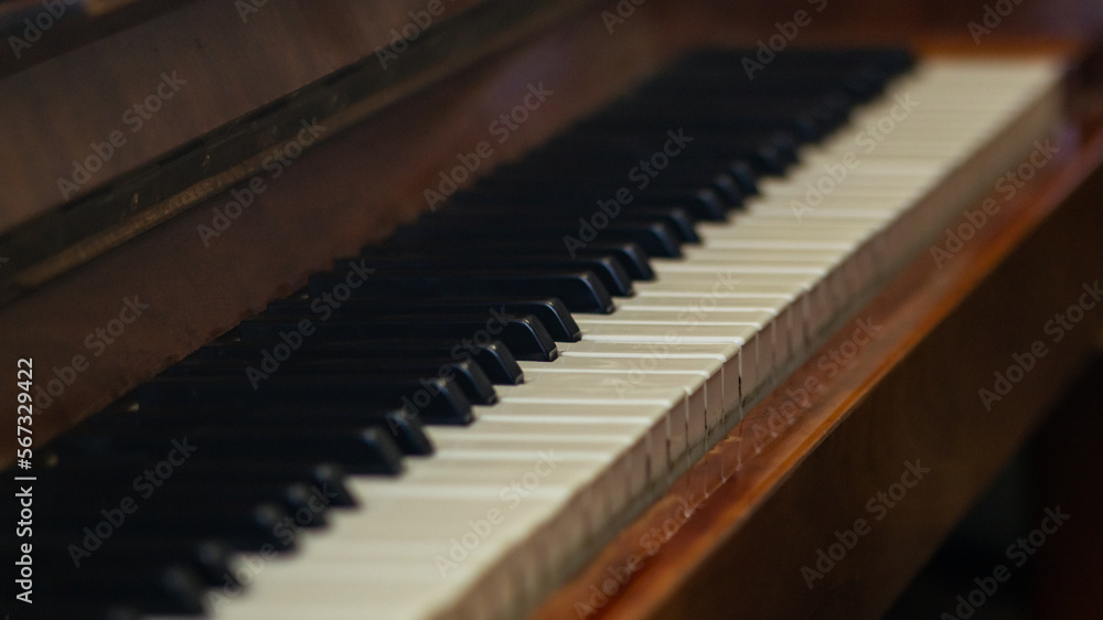 Piano keys in a row. Close to black and white piano keys