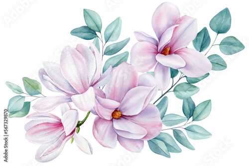 Flowers set with magnolia flowers and eucalyptus leaves. Floral Isolated elements. Watercolor Botanical illustration © Hanna