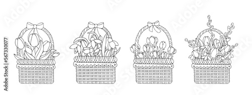 Linear sketches, coloring pages of spring flowers tulip, willow, snowdrop in wicker baskets. Vector graphics.