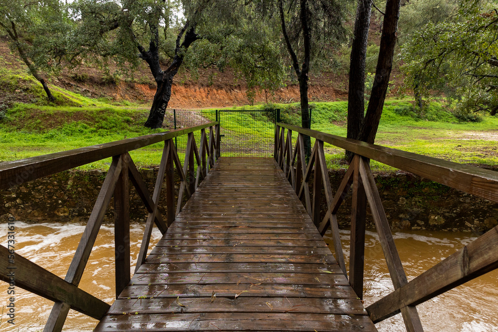 Obraz premium Small wooden bridge