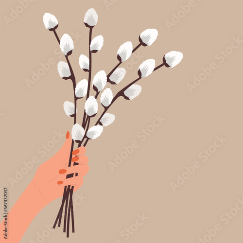 Hand holding Easter bouquet, Pussy willow. Vector illustration