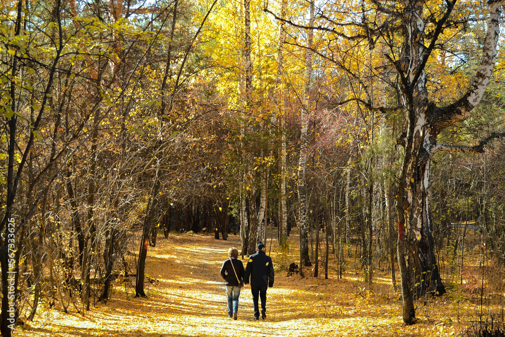 A married couple walking along a path in a dense autumn forest under sunlight