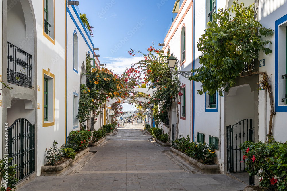 Obraz premium Canary Islands, village by the port. Mogan.