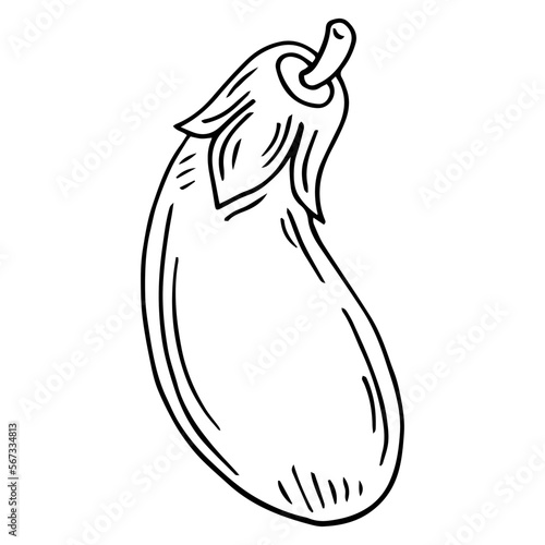 Hand drawn eggplant icon. Vector badge vegetable in the old ink style for brochures, banner, restaurant menu and market