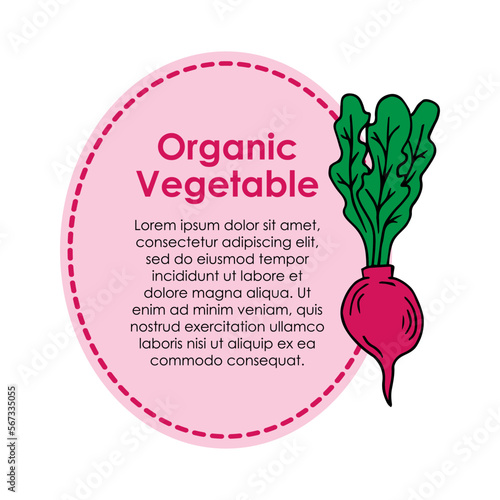 Radish illustration vegetable frame vector