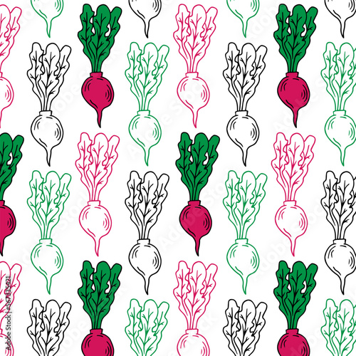 Seamless radish pattern. Vector vegetable background. Doodle illustration.