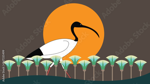 sacred Egyptian ibis in a field of lotus flowers Illustration Vector background