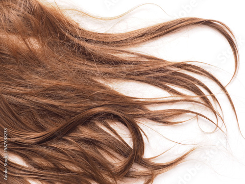 Tableau sur toile Brown female frizzy hair on white background