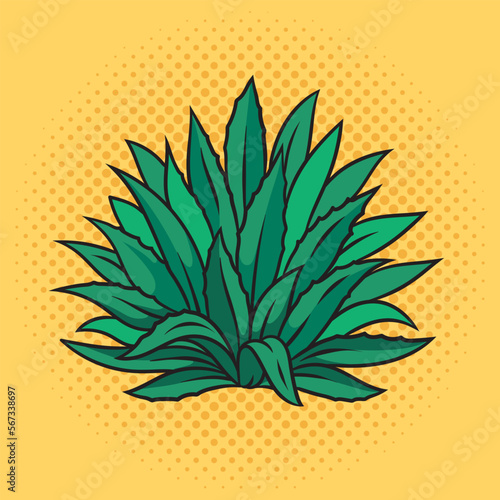 Agave plant tequila ingredient pinup pop art retro vector illustration. Comic book style imitation.