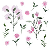 Set of watercolor flowers, magnolia, peonies drawn by hand. Vector