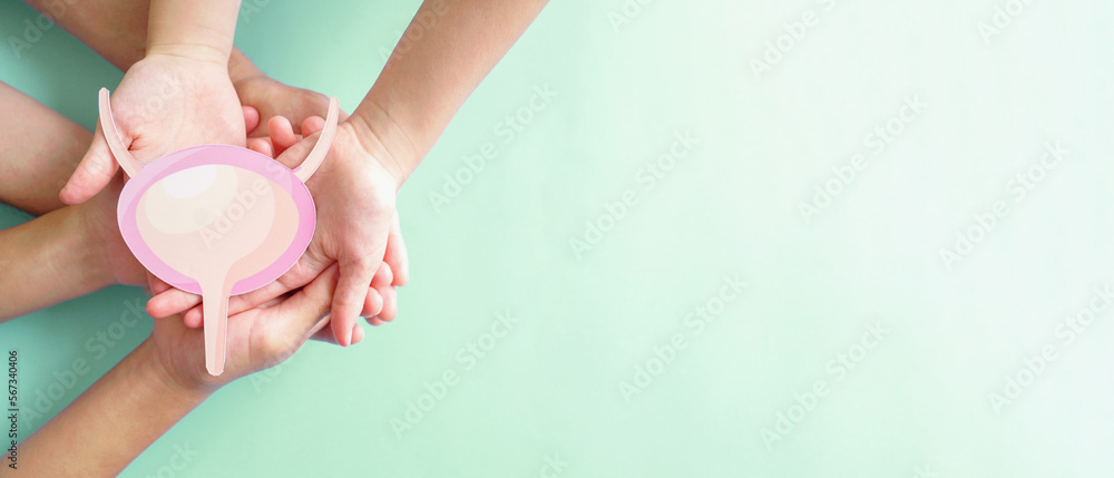 Hands holding bladder, cystitis, urethritis and Urinary Incontinence, bladder cancer concept - obrazy, fototapety, plakaty 