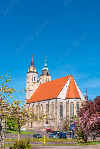 Church of Saint Jochannis, Jochanniskirche, in front of flowers from rosy cherry tree in blossom in historical downtown of Magdeburg at blue Spring sky, Magdeburg, Germany, with copy space