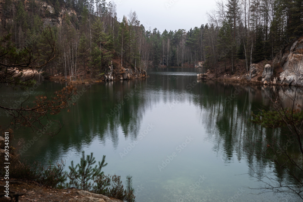 Fototapeta premium reflection of trees in the lake