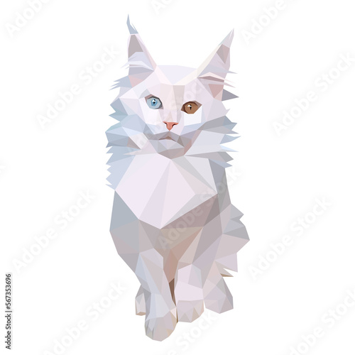 Illustration of low-poly polygonal cat body. White Maine Coon cat breed with different color eyes is sitting. Isolated on transparent background. Veterinary  shop  children  kids  print concept.