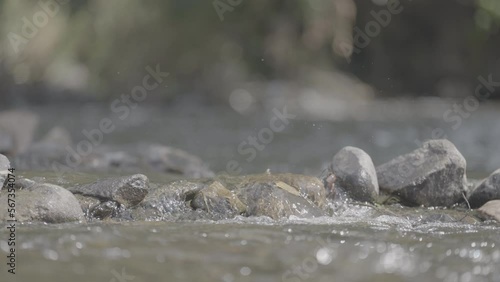 Kleine Wasserströmung im Fluss
