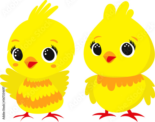 cartoon chick in flat style, vector
