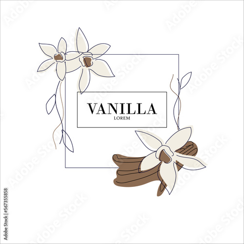 Simple isolated seasoning packaging design, vanilla flavored. Juicy line drawing for label. Freehand vector illustration isolated on white background.