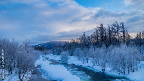 凍てつく川と霧氷した木 冬の北海道
