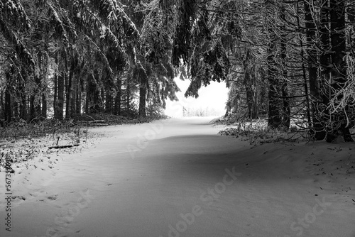 Winter in der Rhön- Schneewanderung zum Simmelsberg 5 photo