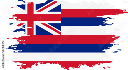 Hawaii flag grunge brush color image vector