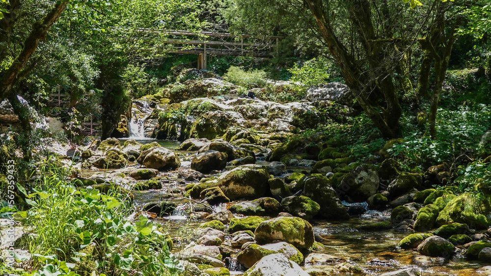 Fototapeta premium Wanderung am Lepena Bachlauf im Triglav Nationalpark in Slowenien