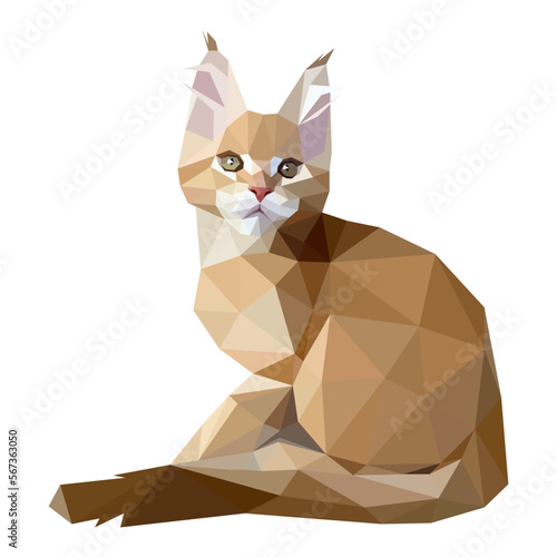 Vector illustration of low-poly polygonal cat body. Ginger Maine Coon cat breed is sitting. Isolated on white.  Veterinary  shop  children  kids  print concept.