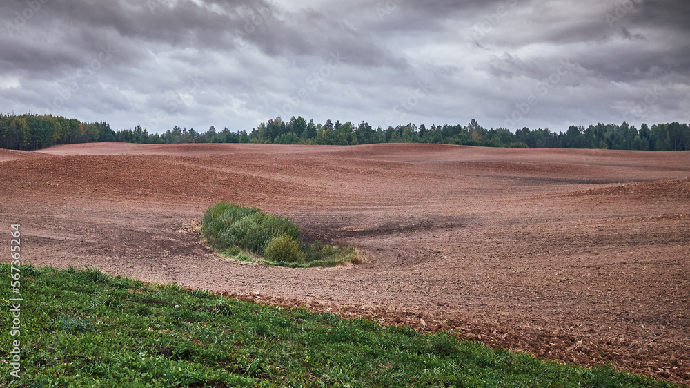 Widely plowed hilly field, brown earth, forest in the distance, dramatic sky. Latgale.