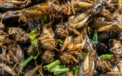 marco boiled insect with vegetable on asian food