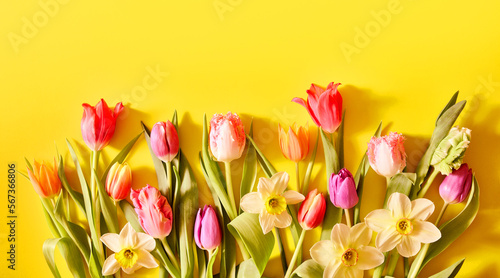 Fototapeta Naklejka Na Ścianę i Meble -  Assorted flowers on yellow surface