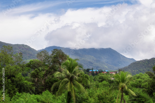 Tropical landscape with palms and mountain tops covered in clouds.