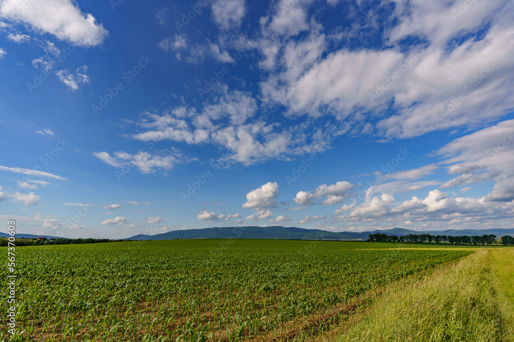 View from farmland with green grass and a view of a slightly cloudy blue sky