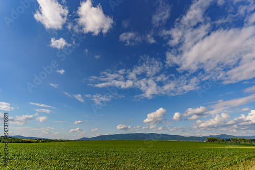 View from farmland with green grass and a view of a slightly cloudy blue sky