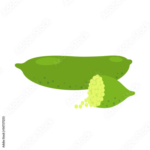 Australian finger lime whole fruit and half isolated on white background. Citrus australasica, finger or caviar lime icon. Vector illustration of tropical exotic fruits in flat style.