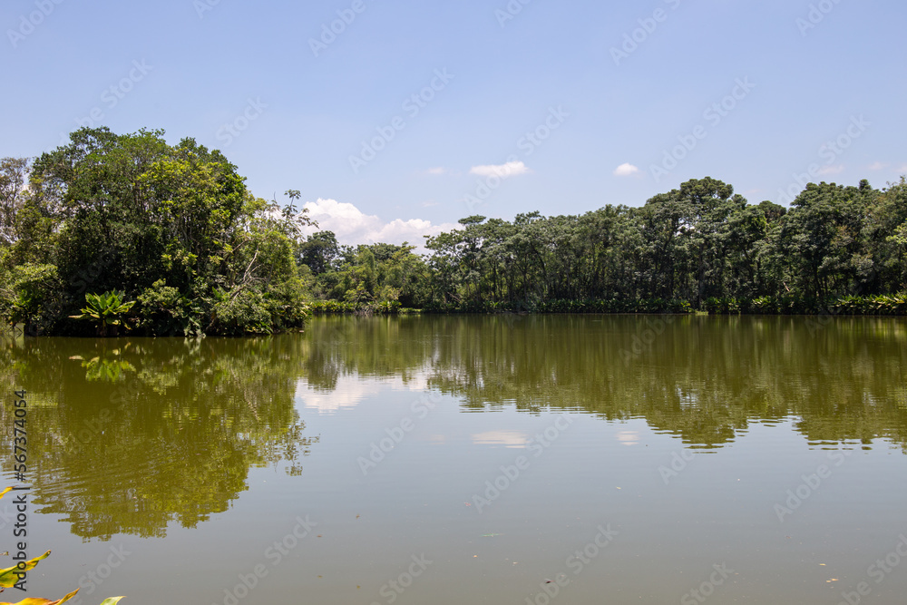 Burle Marx park - City Park, in São José dos Campos, Brazil. Beautiful lake with typical trees