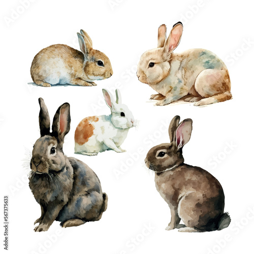 Watercolor illustration of a cute fluffy grey rabbit in a white background