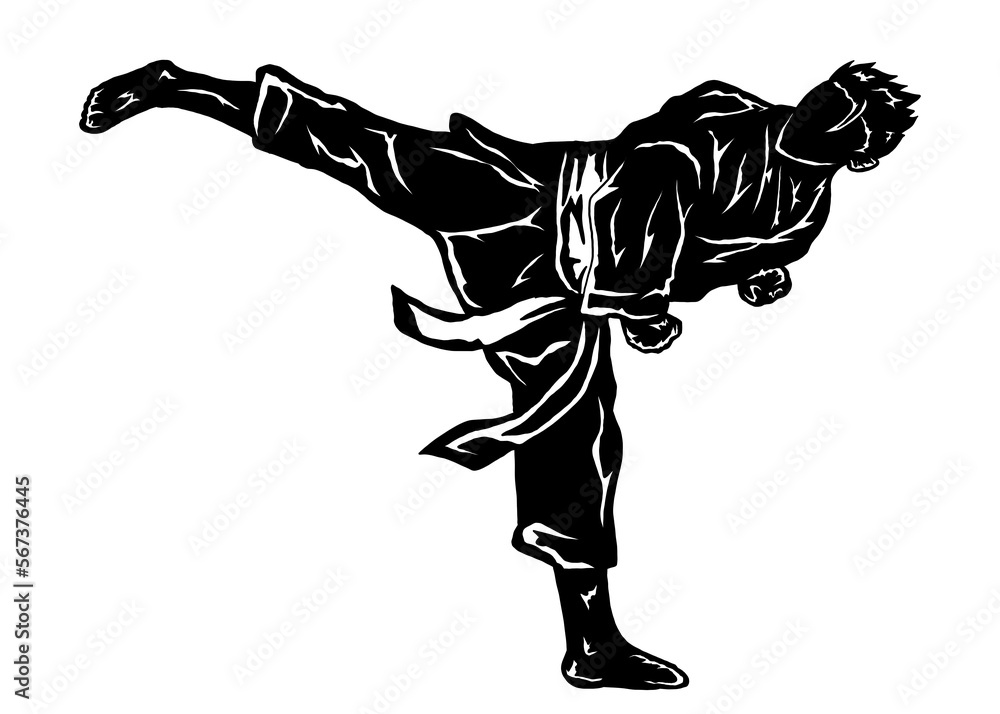 Fototapeta premium illustration line art of karate fighter