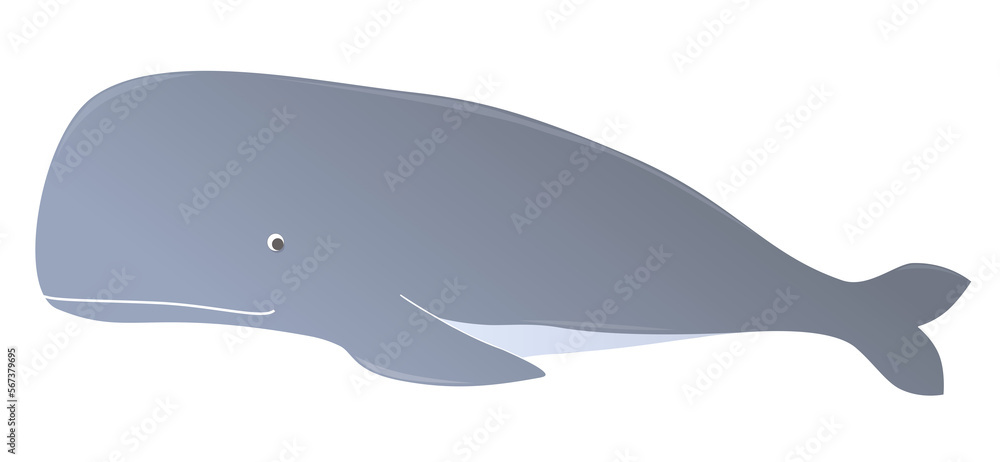 Whale cartoon vector illustration for design Whale cartoon vector illustration for design
