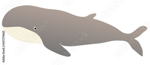 Illustration of cartoon whale vector for Background
