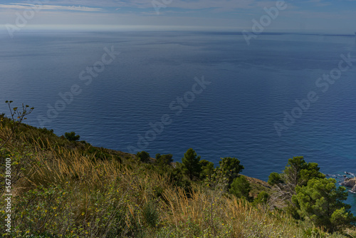 The view from the steep slope covered with lush vegetation and forest to the calm sea