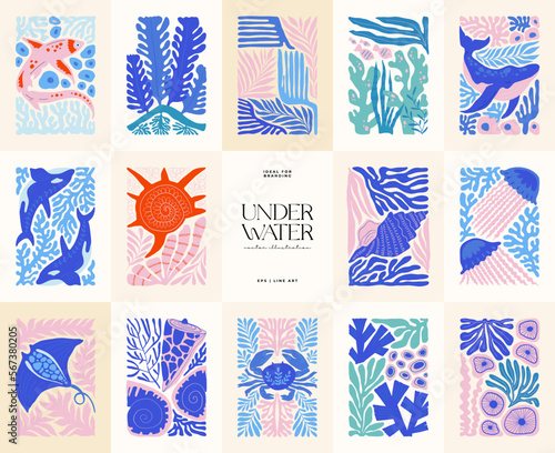 Underwater world, ocean, sea, fish and shells vertical flyer or poster template. Modern trendy Matisse minimal style. Hand drawn design for wallpaper, wall decor, print, postcard, cover, template