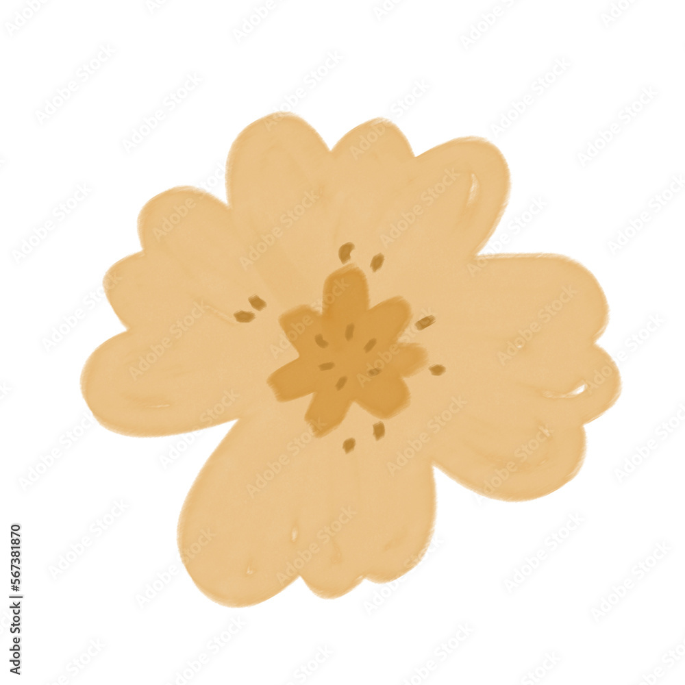 cookies on a white background cookies on a white background