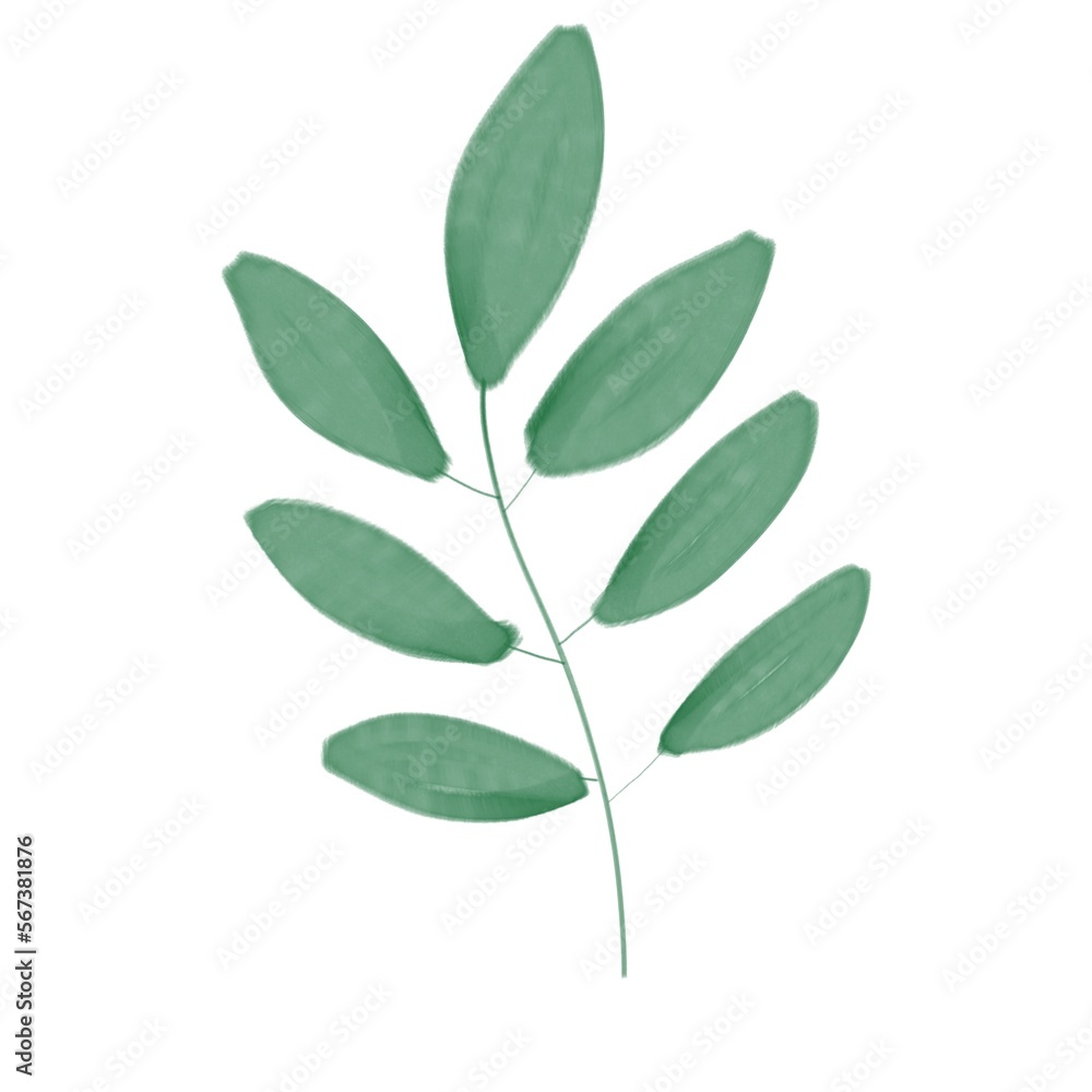 green leaves isolated on white background green leaves isolated on white background