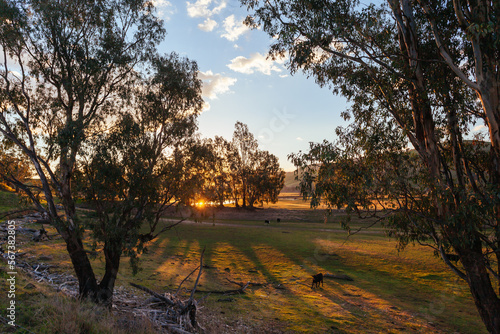 Mitta Valley Lookout in Australia