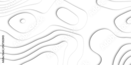 Abstract white paper cut shapes background with shadow and topography map concept, texture. Abstract realistic Papercut decoration background. Abstract papercut wavy white line background.